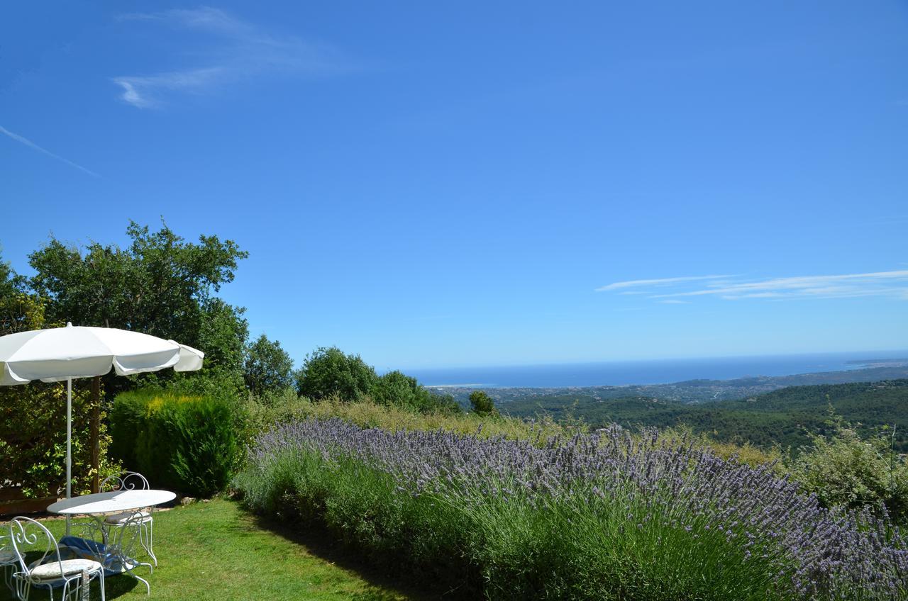 Gite Les Citronniers Vence Exterior foto